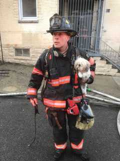 Two Dogs Rescued, Dozens Displaced After Fire Breaks Out At Apartment Complex In Westchester