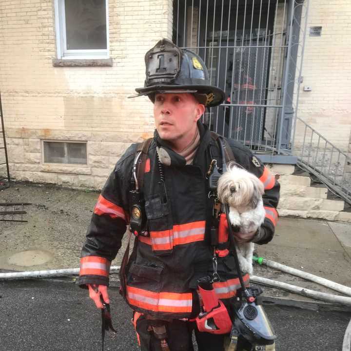 Yonkers FD Lt. Steve Trizano with one of two rescued dogs at the apartment file.