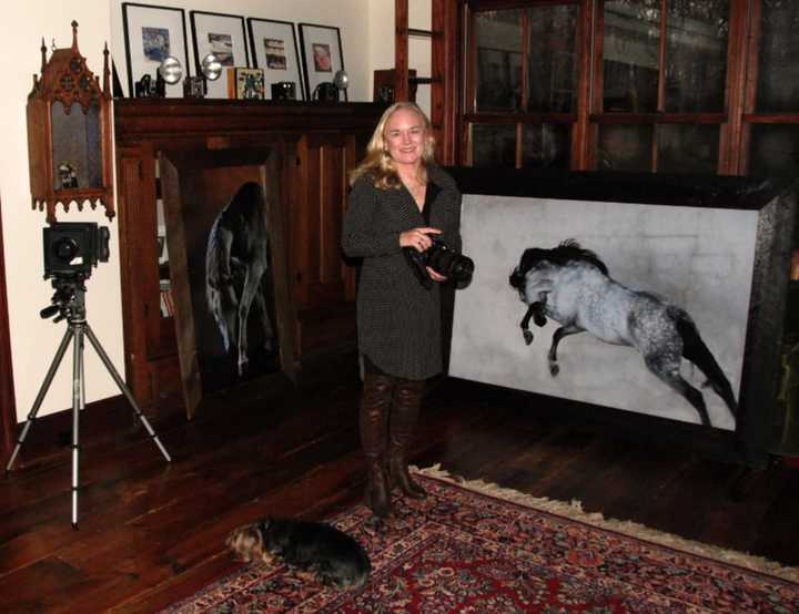 Katonah Artist Julie Testwuide.