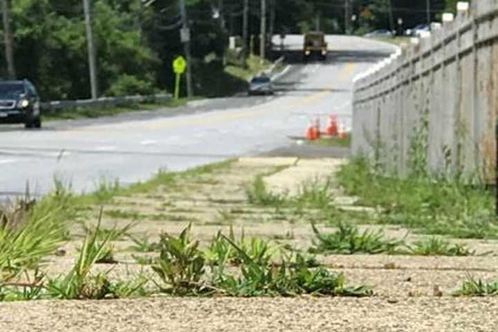 Major Mount Pleasant Roadway Getting Multi-Million Dollar Makeover