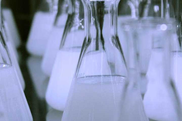 Prostate Studies Involving Prostamax Peptide