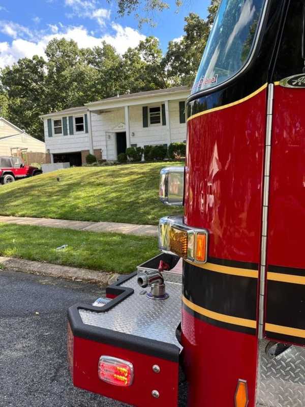 Cats, Dogs Rescued By Neighbors When Bathroom Fire Breaks Out In Maryland Home