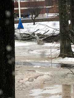 Schools Announce Closures For Tuesday