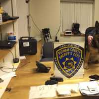 <p>Deputy Irwin and K-9 Kato with the heroin seized in the
case.</p>