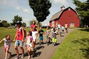 Wilton's Ambler Farm Adds Baby Geese To Its Summer Camp Lineup