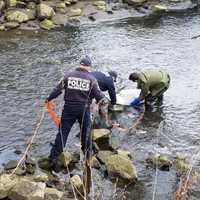 <p>The necropsy report for the dead dolphin that washed up near the Pelham-Mount Vernon town line has been released.</p>