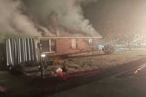 Five Cats, Dog Killed In Early Morning Maryland Fire