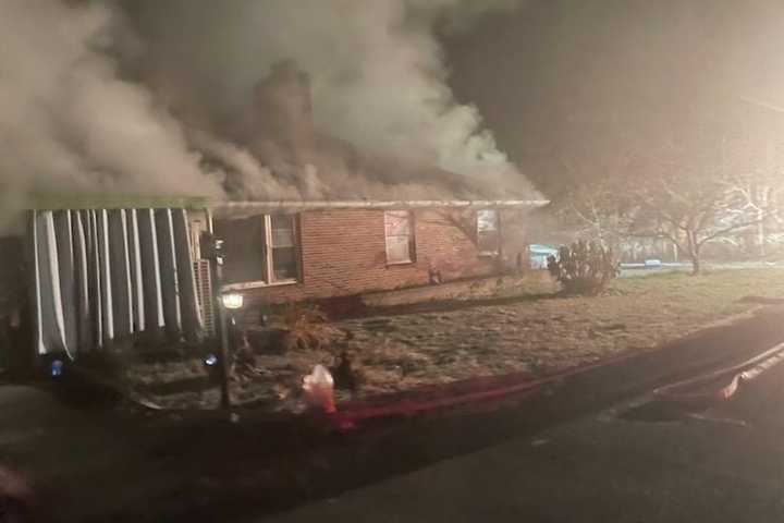 Five Cats, Dog Killed In Early Morning Maryland Fire