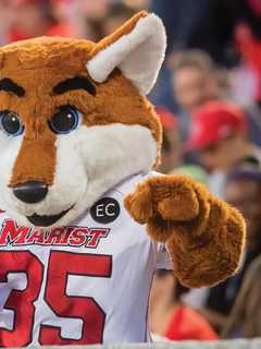 Petition Launched Protesting Change In Marist Mascot's Name