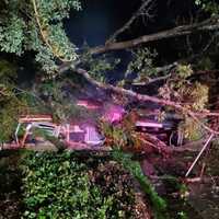 Massive Tree Lands On Maryland House, Sparking Blaze That Finishes The Job: Fire Marshal