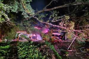 Massive Tree Lands On Maryland House, Sparking Blaze That Finishes The Job: Fire Marshal