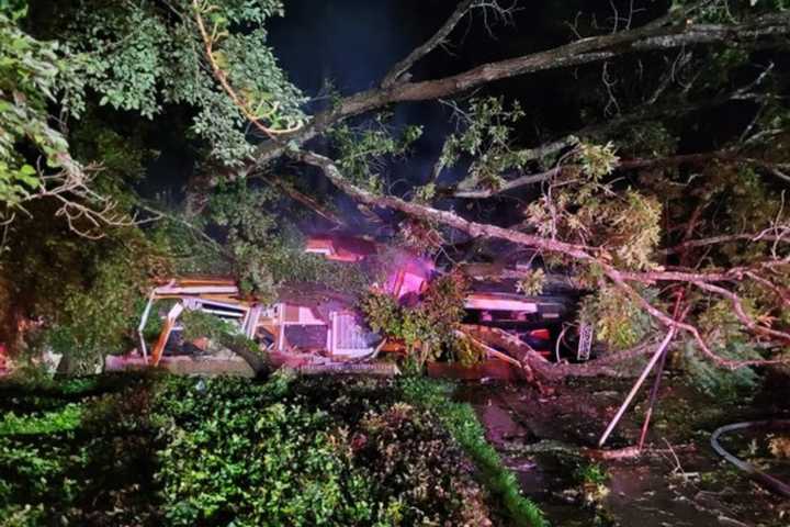 Massive Tree Lands On Maryland House, Sparking Blaze That Finishes The Job: Fire Marshal