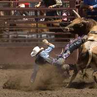 Professional Rodeo Gallops Into Tappan This Weekend