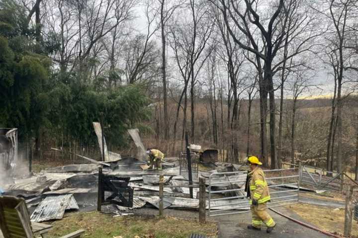 Donkeys, Goats Escape Fire Unscathed In Jarrettsville