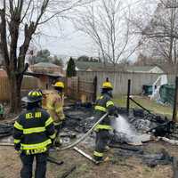 Six Puppies Perish In Bel Air Shed Blaze: Maryland Fire Marshal (VIDEO)