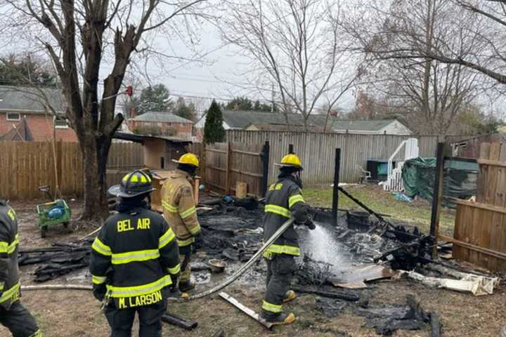 Six Puppies Perish In Bel Air Shed Blaze: Maryland Fire Marshal (VIDEO)