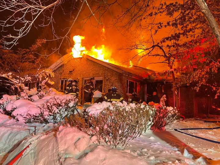 Two cats died, and two others were saved during an early morning house fire in New City.