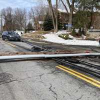 <p>No injuries were reported in relation to the falling utility poles.</p>