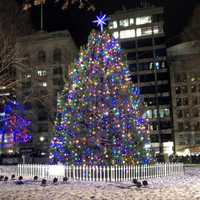 Mayor Wu Will Light Christmas Tree At Boston Commons Next Week