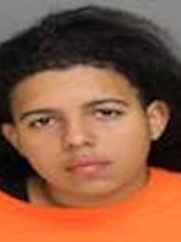 Teen Nabbed In Burglary Attempt At Auto Business In Area