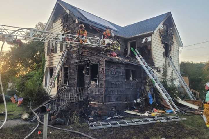 Eight Cats Killed By Fast-Moving Maryland House Fire