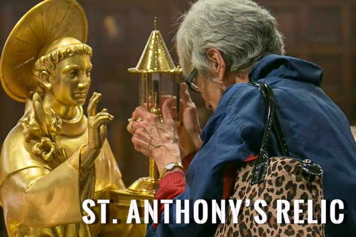 Holy & First-class Relic Of Beloved Saint To Visit Yonkers In June