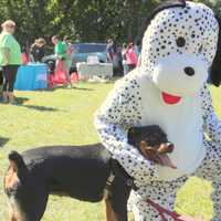 Port Chester Dog Park Celebrates One Year Anniversary