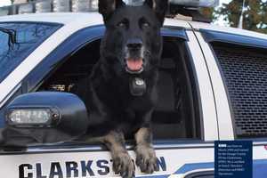 Beloved Clarkstown K-9 King Dies