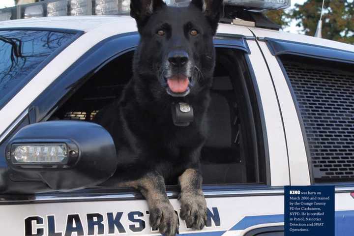Beloved Clarkstown K-9 King Dies