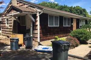 Five Dogs Found Dead, 21 Taken Alive In Rockland County