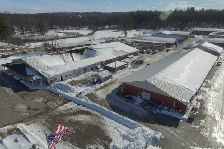 Rhinebeck's Popular Williams Lumber Partially Reopens After Roof Collapse
