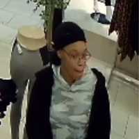 <p>A woman is wanted for stealing an iPhone 11 at a Long Island mall.</p>