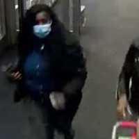 <p>Suffolk County Crime Stoppers and Suffolk County Police Second Squad detectives are seeking the public’s help to identify and locate two women who stole from a Huntington Station store this month.</p>