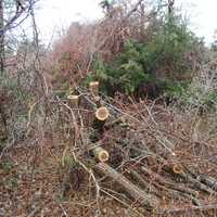 <p>Damages caused to acre of land on Shelter Island between Jan. 7 and Jan. 8, 2018</p>