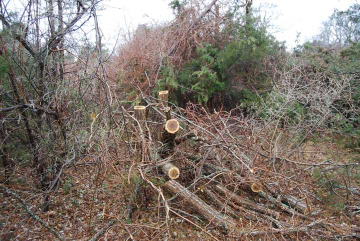 Damages caused to acre of land on Shelter Island between Jan. 7 and Jan. 8, 2018