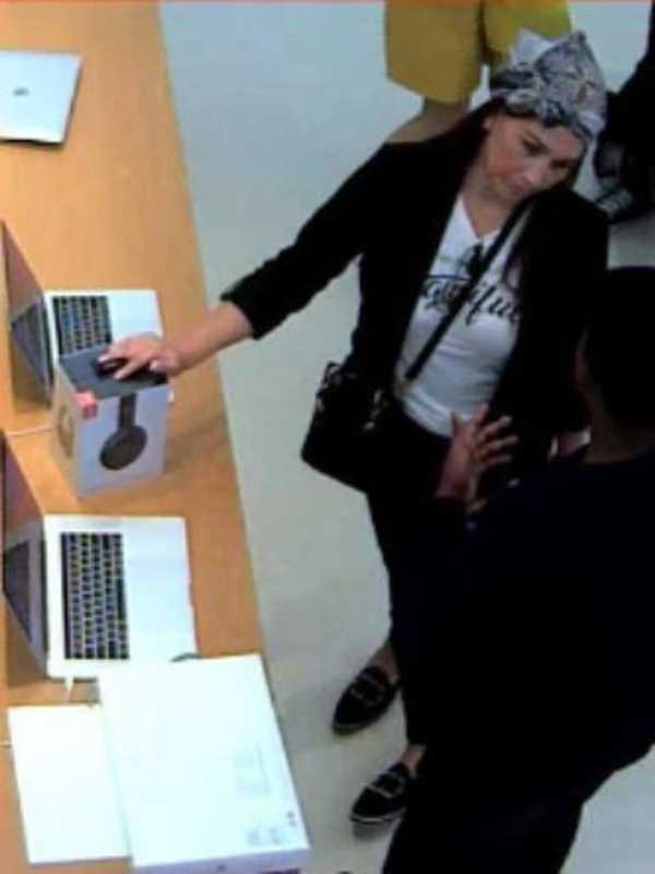 Wanted Woman Used Stolen Credit Card To Buy Laptop At Long Island Apple Store, Police Say