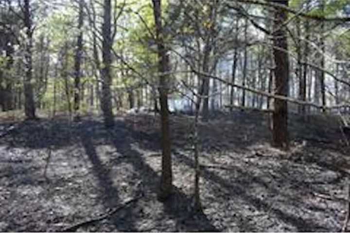 Police Search For Arson Suspect After Brush Fire Breaks Out Near Long Island Park