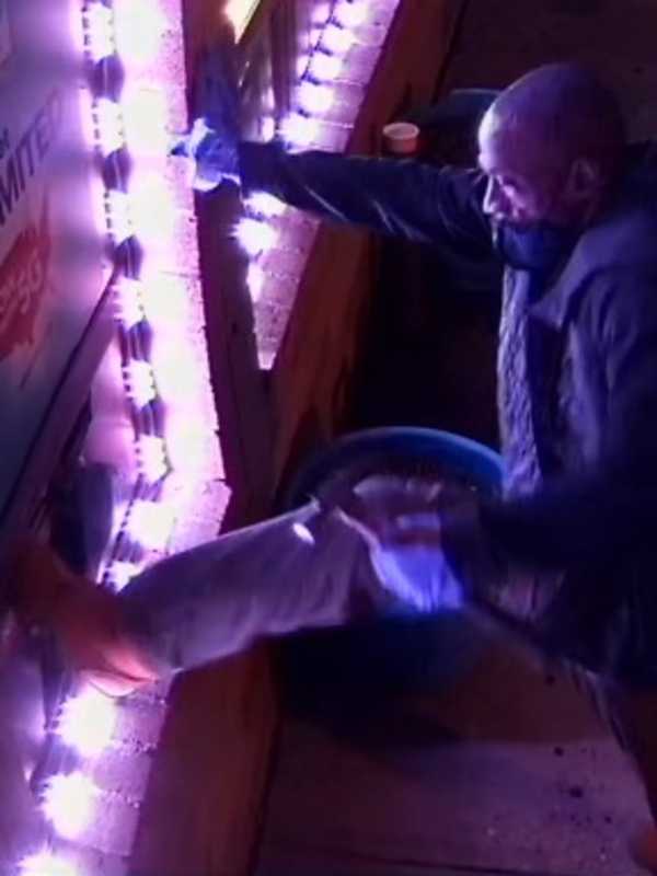 Man Wanted For Breaking Into Long Island Store