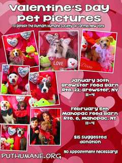 Putnam Humane Society Offers Valentine's Pictures With Pets