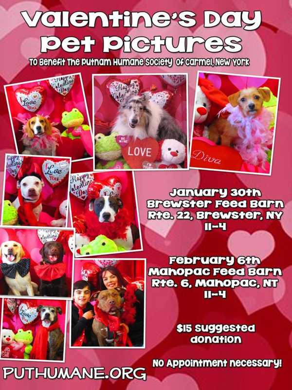 Putnam Humane Society Offers Valentine's Pictures With Pets