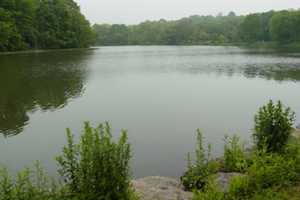 Sewerage Leaks Into Van Cortlandt Lake
