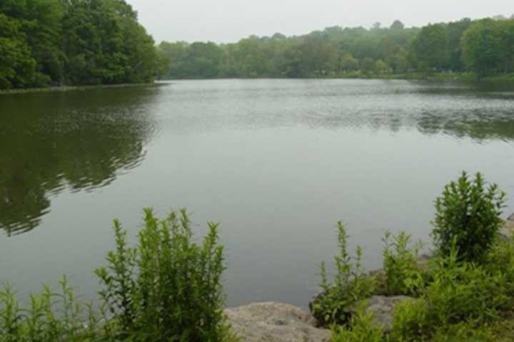 Sewerage Leaks Into Van Cortlandt Lake