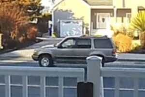 Fatal Hit-Run: Vehicle In Ocean County Crash Sought