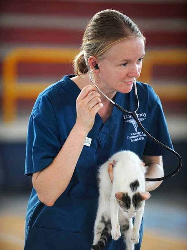 Saddle River Reminds Pet Owners To Renew Licenses This Month