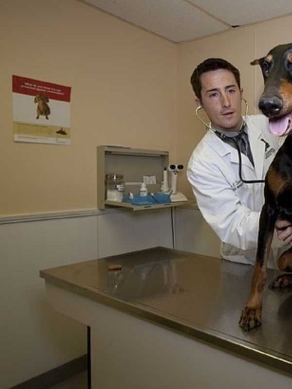Ridgefield Park Organizes Rabies Vaccination Clinic