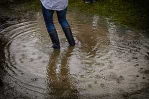 Rescues Required, Cars Damaged By Flood Waters In Harford County: Reports