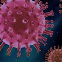 COVID-19: New Variant From China Spreading In US With Painful Symptom