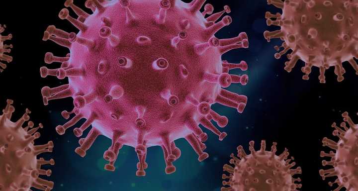 JN. 1 now makes up around 86 percent of COVID cases in the United States after accounting for less than 5 percent of infections nationally in early November