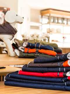 Greenwich's New Pet Boutique Raleigh And Co. Opens