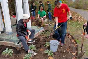 Thousands Of Daffodils Will Bloom At Kerry's Garden In Waldwick